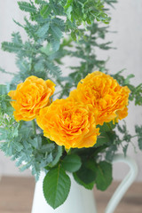 マンゴーリーバ　バラ　黄色