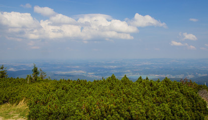 Fototapeta na wymiar Karkonosze - Polish mountains. Mountains, trails and vegetation in the summer.