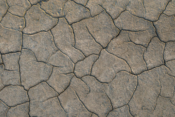 Dry cracked earth. Cracks in the ground closeup.