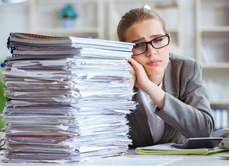 Female businesswoman boss accountant working in the office