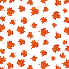 pattern of autumn leafs decoration