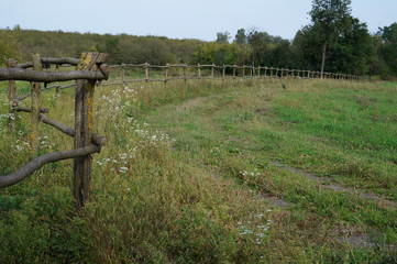 Wooden fence on nice green meadow