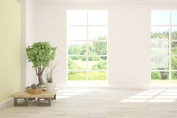 Stylish empty room in white color with summer landscape in window. Scandinavian interior design. 3D illustration