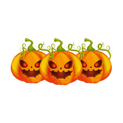 halloween pumpkins traditional isolated icon