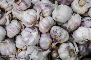 Pile of garlic view from the top. Fresh garlic on market table closeup photo. Vitamin healthy food spice, spicy cooking and meat dish ingredient.