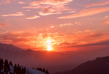 Majestic sunset in the mountains with forest