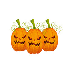 halloween pumpkins traditional isolated icon