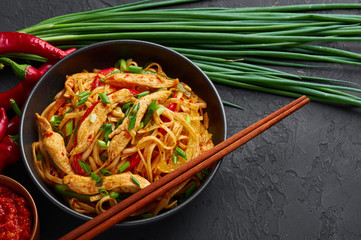 Chicken Schezwan Noodles or Hakka or Chow Mein in black bowl at dark background. Schezwan Noodles is indo-chinese cuisine hot dish with udon noodles, vegetables and chilli sauce or Schezwan sauce