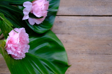 pink flowers in the garden