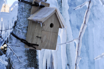 birdhouse on a tree