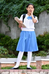 Fototapeta premium Startled Beautiful Asian School Girl With School Books