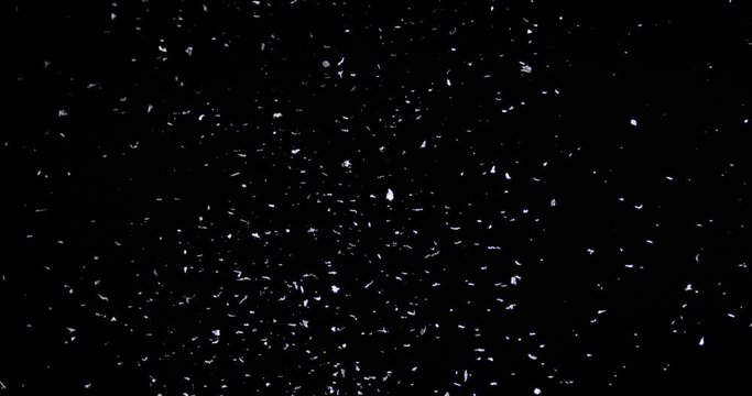 Falling real snowflakes, heavy snow, shot on a black background, frosted, wide-angle, insulated, ideal for digital composition, post-production