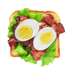 Toasted sandwich bread with bacon, lettuce and eggs isolated