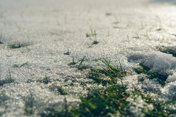 Grass & snow in a garden. Sunlight melting. Beautiful sky. Lawn.