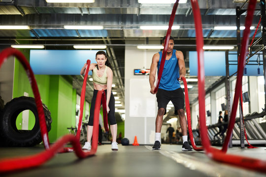 Front view portrait of fit couple exercising with battle ropes during strength workout in modern gym, copy space