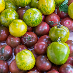 Green and Red Tomatoes