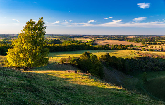 Quintessential view over central Bedfordshire from the Pegsdon Hills during the golden hour