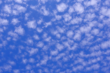 White clouds in the blue sky.