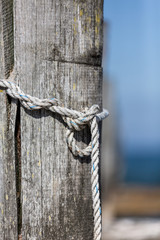 Seil mit Knoten um Holzpfahl auf Zingst an der Ostseee