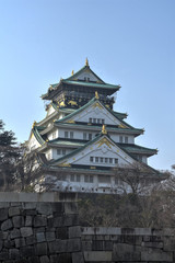 Fototapeta premium 大阪城