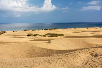Fototapeta na wymiar Dünen von Maspalomas auf Gran Canaria