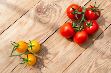 red and yellow natural tomatoes in composition