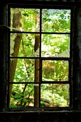 Detail of an destroyed old window with rusty iron frame and broken glass in an abandoned house, on the background of trees and green leaves, showing forest in dappled light, merging with nature