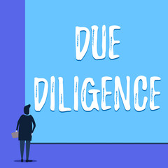 Conceptual hand writing showing Due Diligence. Concept meaning Comprehensive Appraisal Voluntary Investigation Audit Back view young woman watching blank big rectangle