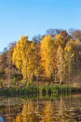 Obraz premium Lake view at autumn