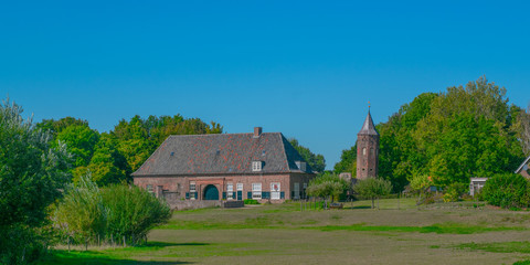 Fototapeta na wymiar Dutch grass meadow in Ooij