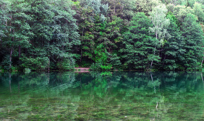 green wood background
