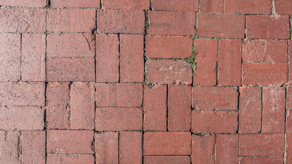 Tile on the sidewalk, grass sprouted through the seams