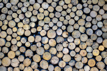 Pile of natural wooden logs background.