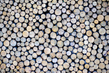 Circle wood texture background.