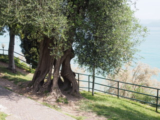 Sirmione – Altstadt mit der Rocca Scaligera – einer der schönsten Wasserburgen Europas