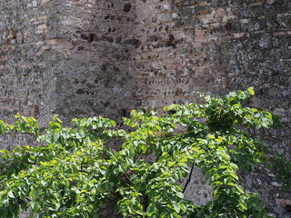 Sirmione – Altstadt mit der Rocca Scaligera – einer der schönsten Wasserburgen Europas