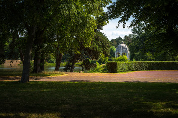 Fototapeta na wymiar Stadtpark Rotehorn in Magdeburg im Sommer