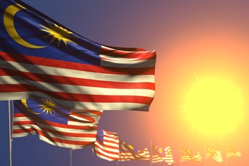 pretty labor day flag 3d illustration. - many Malaysia flags on sunset placed diagonal with bokeh and place for your content