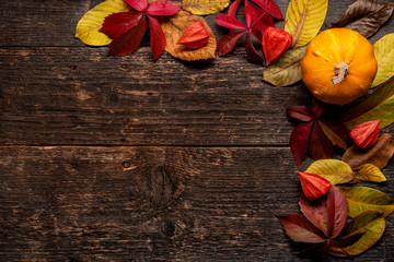 Happy Thanksgiving. Pumpkin and fallen leaves on dark wooden background. Autumn vegetables and...
