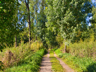 Landschaft Siegaue bei Bonn  
