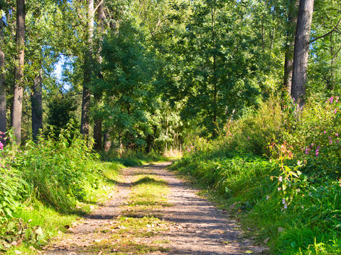 Landschaft Siegaue bei Bonn  