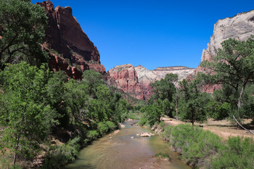 Virgin River View in Zion