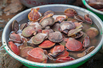 Traditional sea food in the street of Vietnam. Raps and shells, for cooking on a barbecue