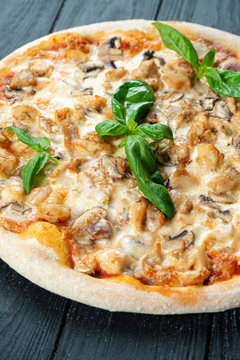Homemade fresh Pizza with smoked chicken, mushrooms, basil and white sauce on a black wooden with copy space. Top view food photo. Flat lay. Italian cuisine.