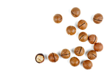 Shelled and unshelled macadamia nuts on white background