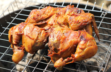 Tasty Grilled Chicken 