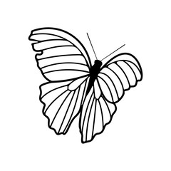 Fototapeta na wymiar Butterfly logo design vector. Butterfly logo template illustration