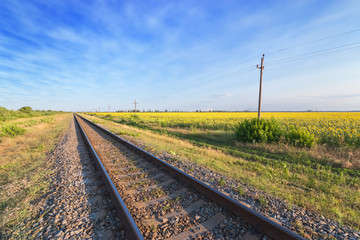 railway passing near the field / bright summer landscape of the field of Ukraine