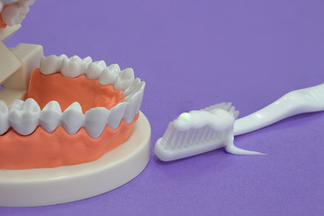 The Toothbrush model and Toothbrush With Toothpaste is a medical and healthcare concept.