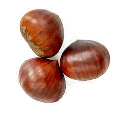 Chestnut Isolated. Ripe sweet chestnuts for Christmas  on white background. Top view. Flat lay.